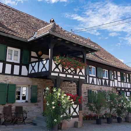 Chambres d'hôtes de charme à la ferme Freysz Quatzenheim Esterno foto