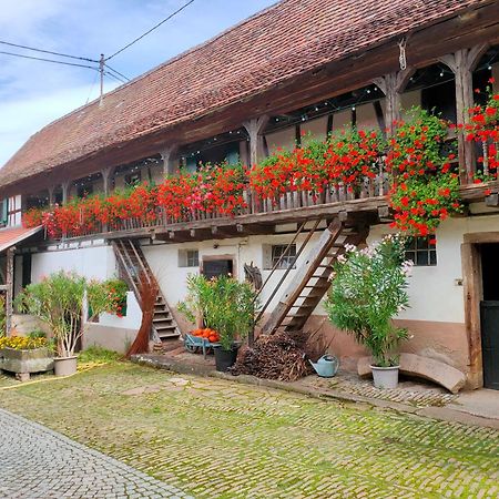 Chambres d'hôtes de charme à la ferme Freysz Quatzenheim Esterno foto