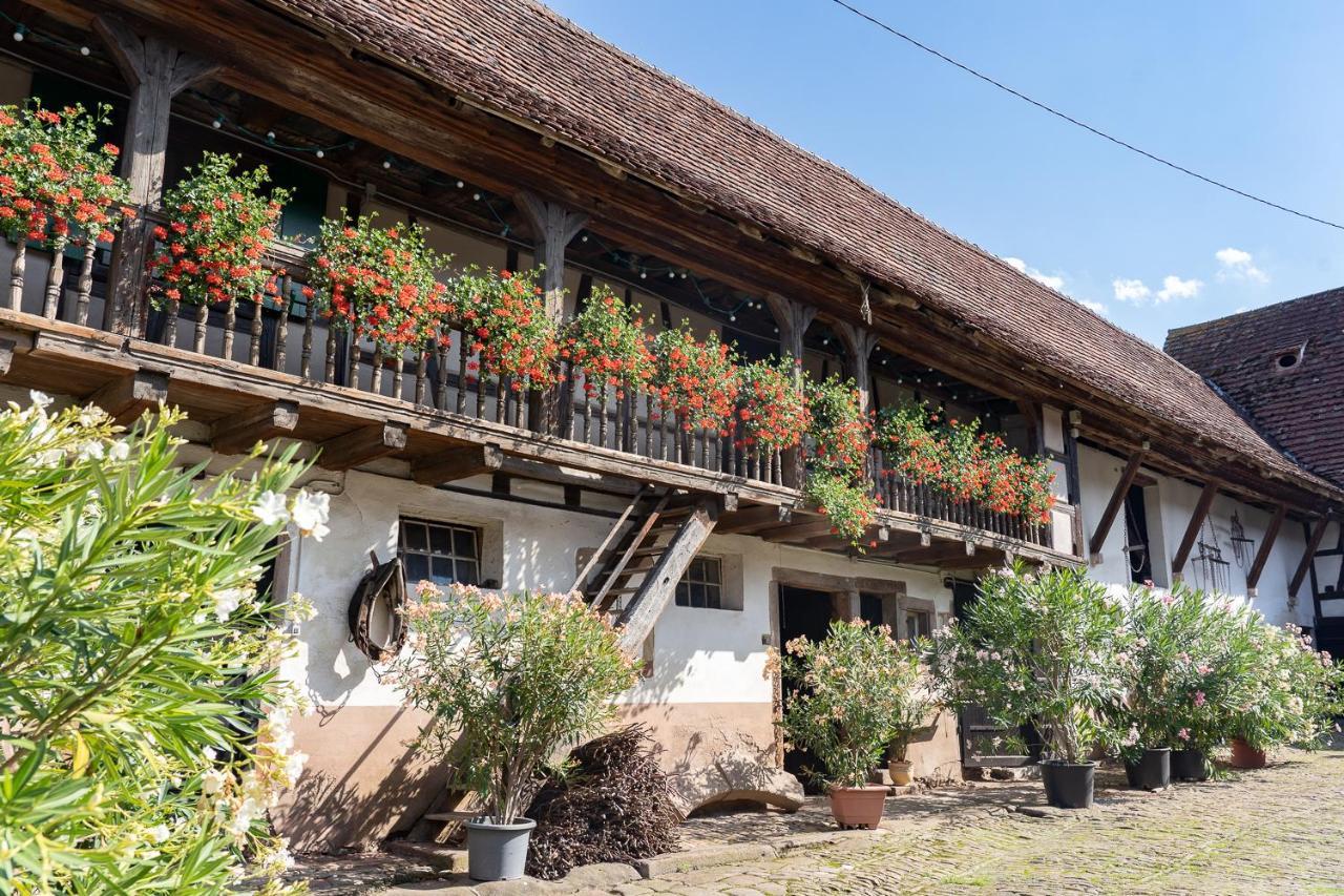 Chambres d'hôtes de charme à la ferme Freysz Quatzenheim Esterno foto