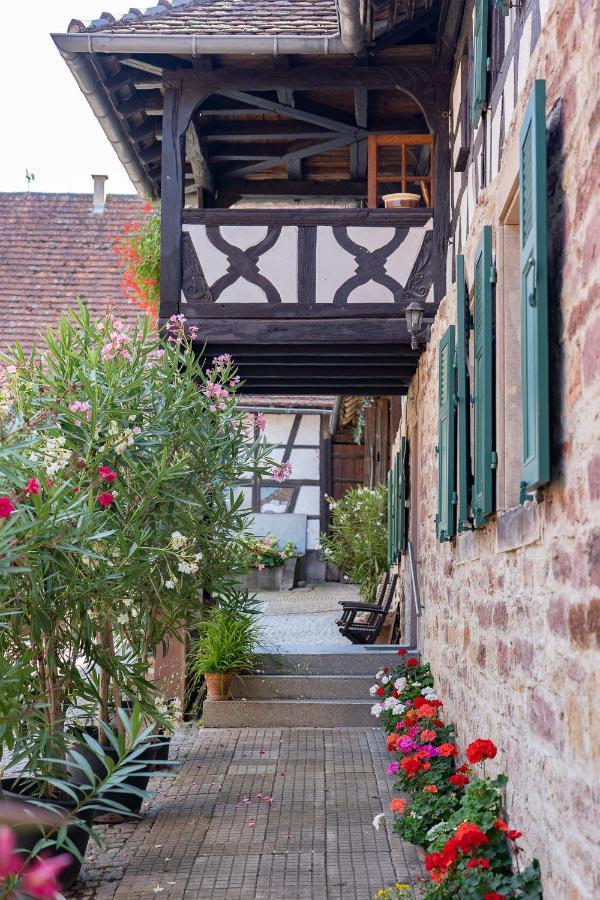 Chambres d'hôtes de charme à la ferme Freysz Quatzenheim Esterno foto