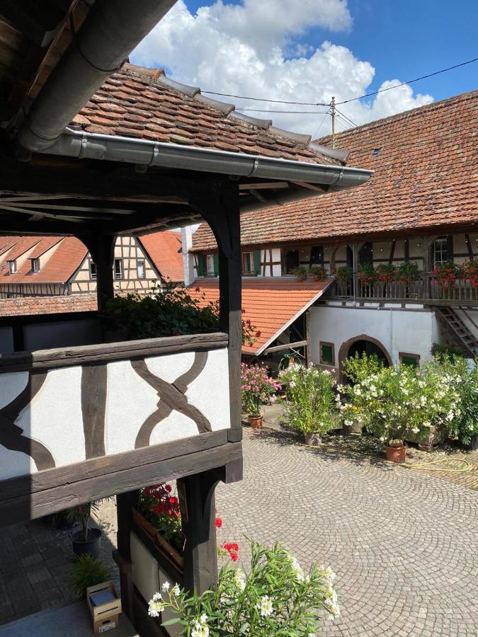Chambres d'hôtes de charme à la ferme Freysz Quatzenheim Esterno foto