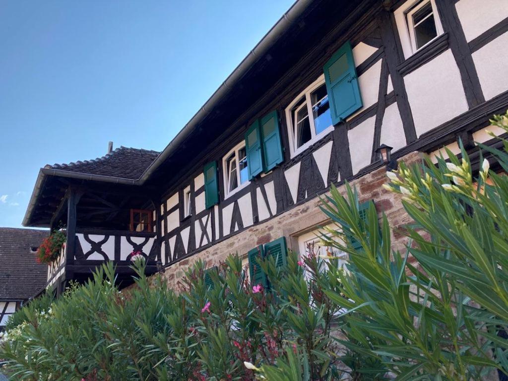 Chambres d'hôtes de charme à la ferme Freysz Quatzenheim Esterno foto