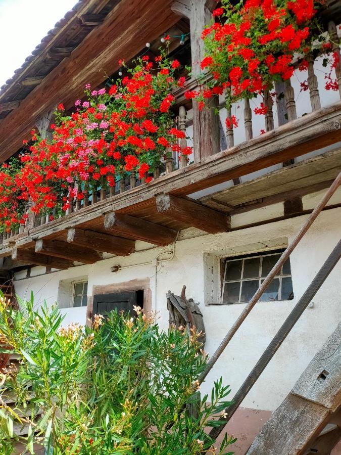 Chambres d'hôtes de charme à la ferme Freysz Quatzenheim Esterno foto